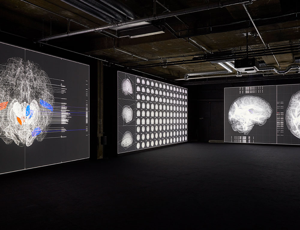 Digital Projection Propels Visitors into the Data-Verse